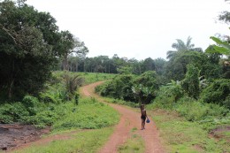 Sierra Leone, Kleinbauern